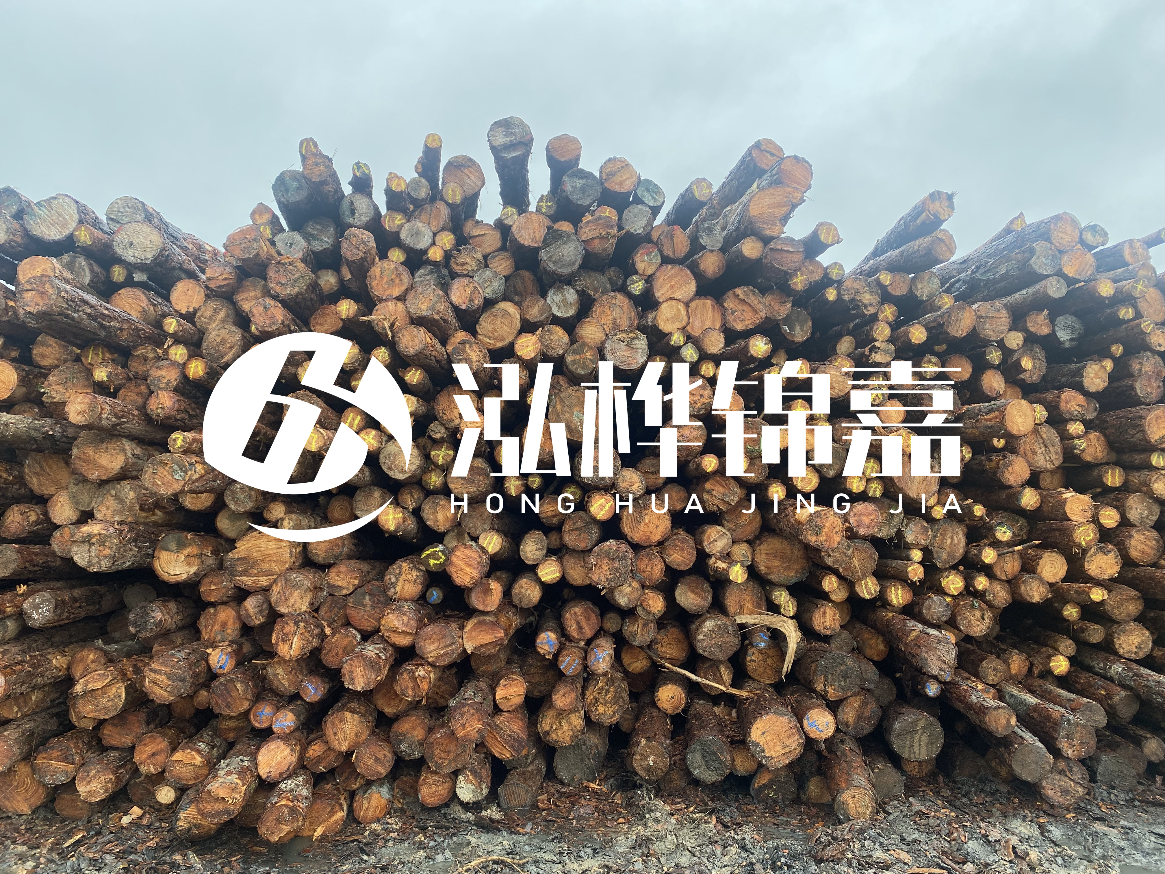 松木樁的直徑一般取多少？