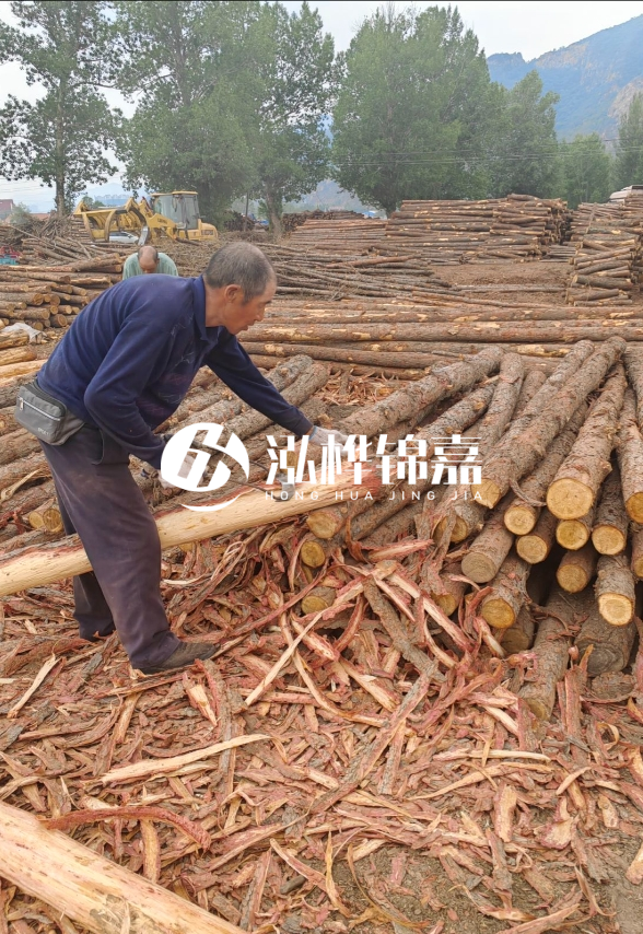 東營河道清淤專業(yè)施工隊-不同型號挖機清淤能力對比？