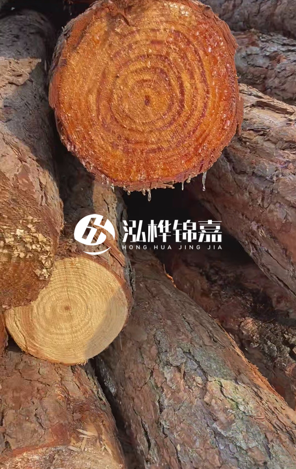 赤峰挖機打木樁專業(yè)施工-河道狹窄處挖機打木樁方法？