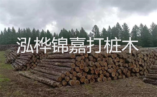 選擇紅磚護(hù)坡，打造獨(dú)特的美麗景觀