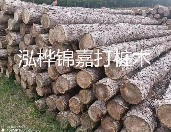 高效修補(bǔ)，保駕護(hù)航！水泥路面高強(qiáng)度修補(bǔ)料為您解決煩惱！