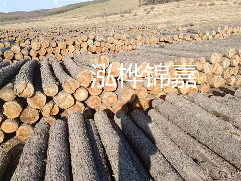 選擇合適的路緣石尺寸，打造美麗道路